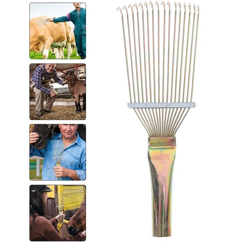 Kit toilettage pour - kit, chevaux