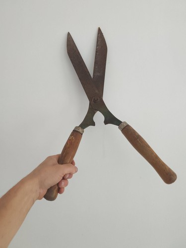 Brocante cisaille taille haie - cisaille,