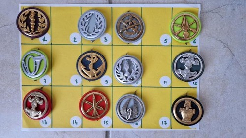 Insignes beret militaire - insignes,