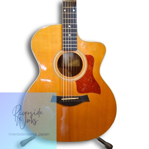 Guitare électrique acoustique