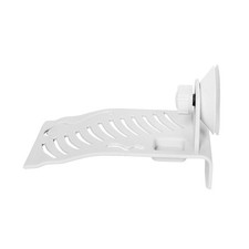 Tortue Aquatique Jetée