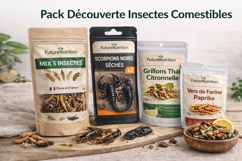Pack découverte insectes - pack,