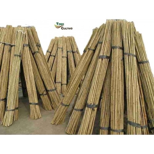 Tuteur bambou thaïlandais - en,