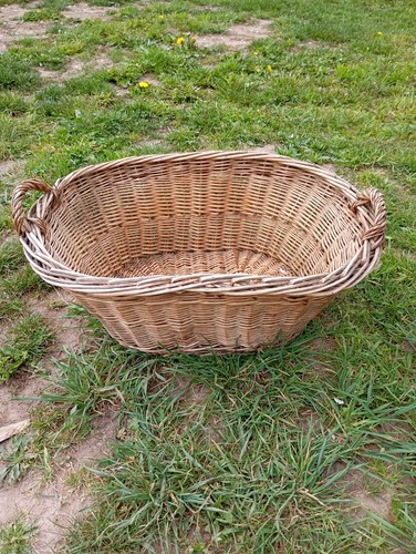 Ancien panier osier - panier, en