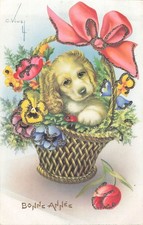 ILLUSTRATED CP sequins signed Vivey basket dog flowers - 66337