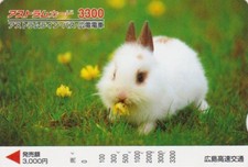 JAPAN - ANIMAL - ALBINO RABBIT - RABBIT JAPAN bus card / No remote card
