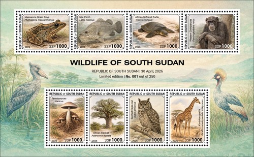 South sudan 2026 8v - 2026,