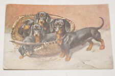 DOG BASKET DOGS R1721