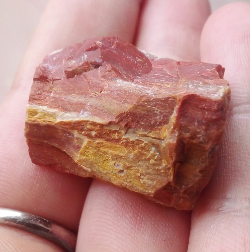 3gr 8mm bois fossile - 14.3gr,