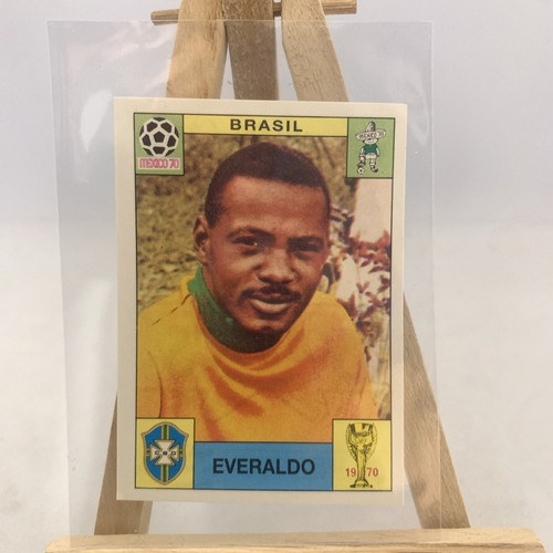 World cup story panini - world, story-panini