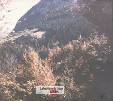 Col du Cucheron montagne