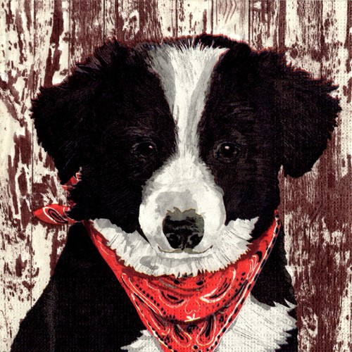 Serviettes papier chien - serviettes,