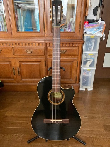 Godin patrie elegat guitar - patrie,