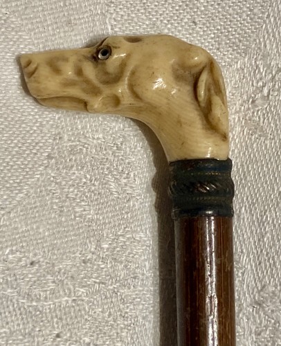 Pommeau canne tête de - de,
