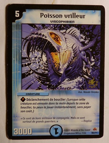 Carte duel masters - duel,