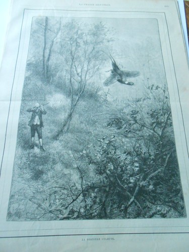 Gravure 1889 chasse - gravure,