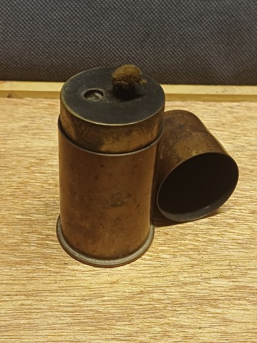 Beau briquet poilu grand - beau,