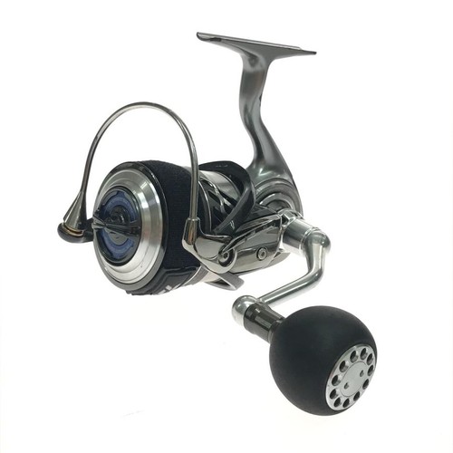 Daiwa spinning reel - spinning, saltiga