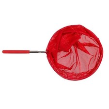 Fishing Net, Butterfly and