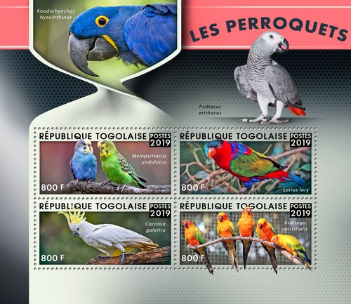 Parrots birds mnh stamps 2019 - birds,