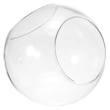 Globe Terrarium Air Plante