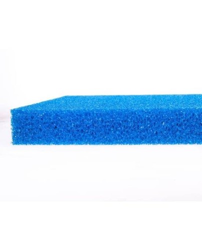 Plaque mousse filtration - plaque,
