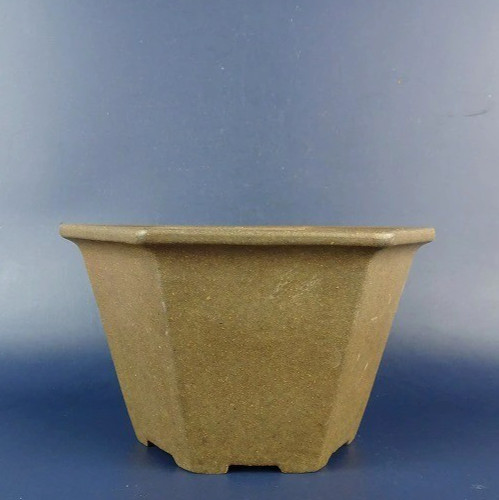 Pot bonsaï japonais - bonsaï,