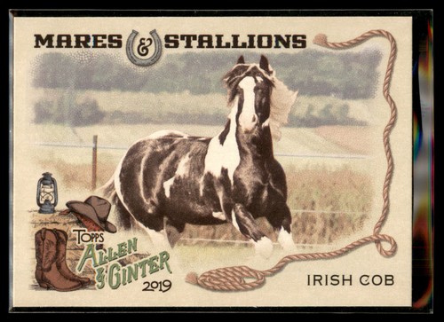 2019 topps allen ginter - topps, &