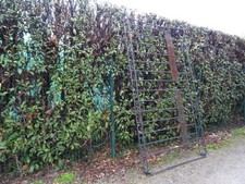 Galerie de toit PEUGEOT BOXER