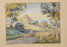 Troupeau de moutons (2) |