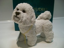 Leonardo Bichon Frise Chien