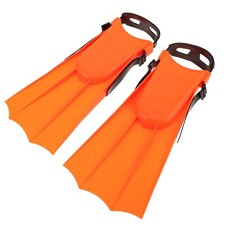 Équipement De Plongée