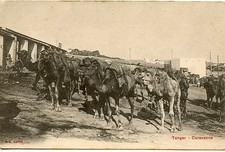  POSTCARDS / POSTCARD / MOROCCO / TANGER CARAVAN