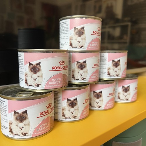 Pack boites royal canin - pack,