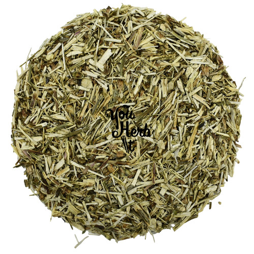 Chicorée feuilles tiges - chicorée, et
