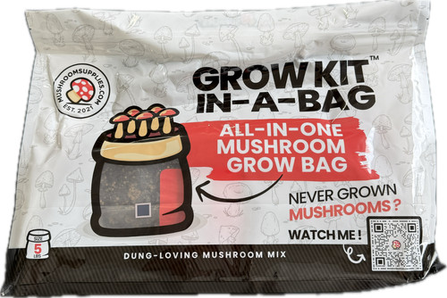 Mushroom supplies grow kit - mushroom,