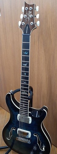 Guitare électrique prs - guitare, se
