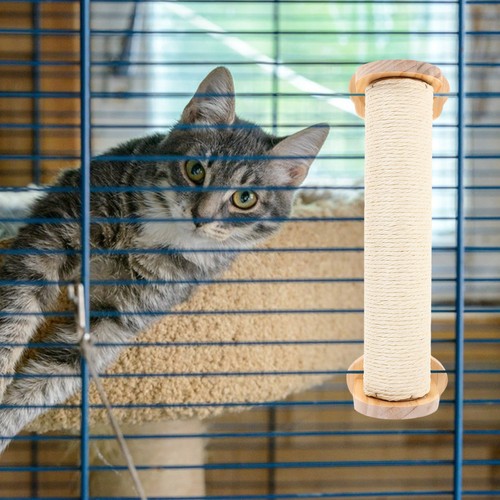 Griffoir pour chat - :,