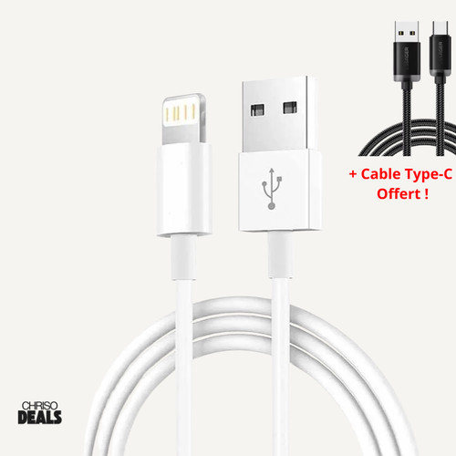 Câble usb iphone ios 12 - 13,