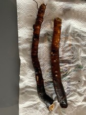 4 Racines de Consoude BOCKING