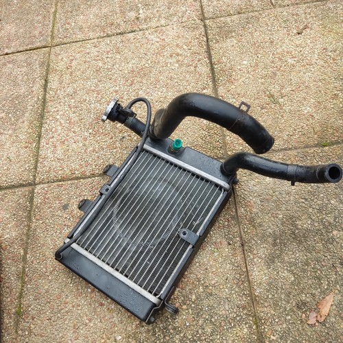 Radiateur eau daelim 125 - radiateur,