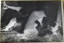 NU 15 x 10 BROTHEL 1900 EROTIC EROTIC NEGATIVE GLASS PLATE PHOTO