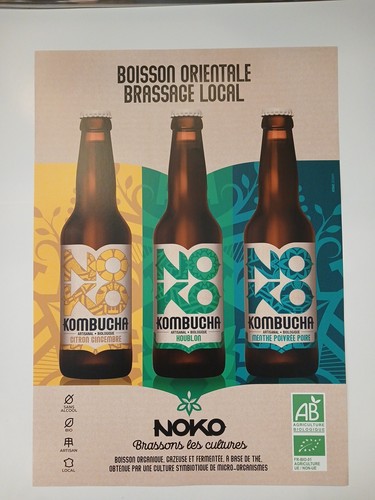 Affiche noko kombucha model - :,