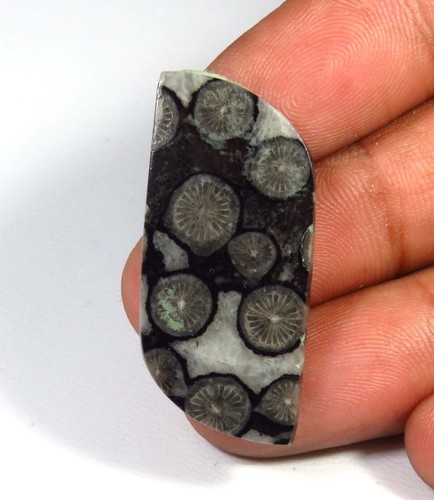 Cabochon poli naturel - , en