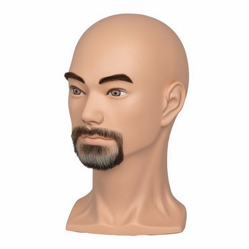 Buste mannequin homme - buste,