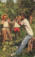 MARTINIQUE, Drinking Coconuts 45633