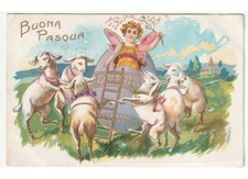 Relief Ancienne Carte Postale