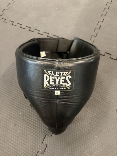Cleto reyes boxing groin - groin, and