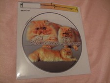 1 autocollant - motif  chat