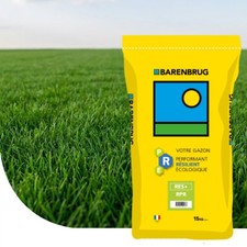 GAZON BARENBRUG RES+RPR –